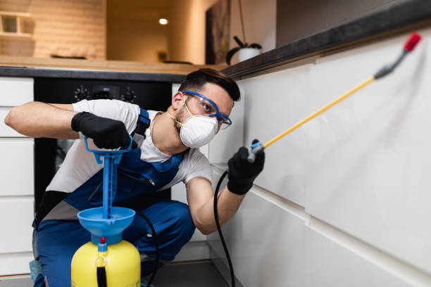 Best Rat Extermination Near Me  in Shiloh, PA