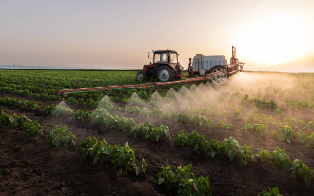 Best Pest Control Cost  in Shiloh, PA