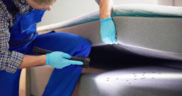Professional Pest Control in Shiloh, PA