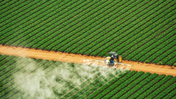 Best Termite Control Services  in Shiloh, PA