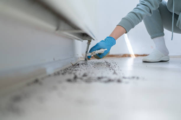 Best Insect Control  in Shiloh, PA